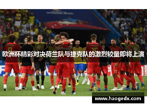 欧洲杯精彩对决荷兰队与捷克队的激烈较量即将上演